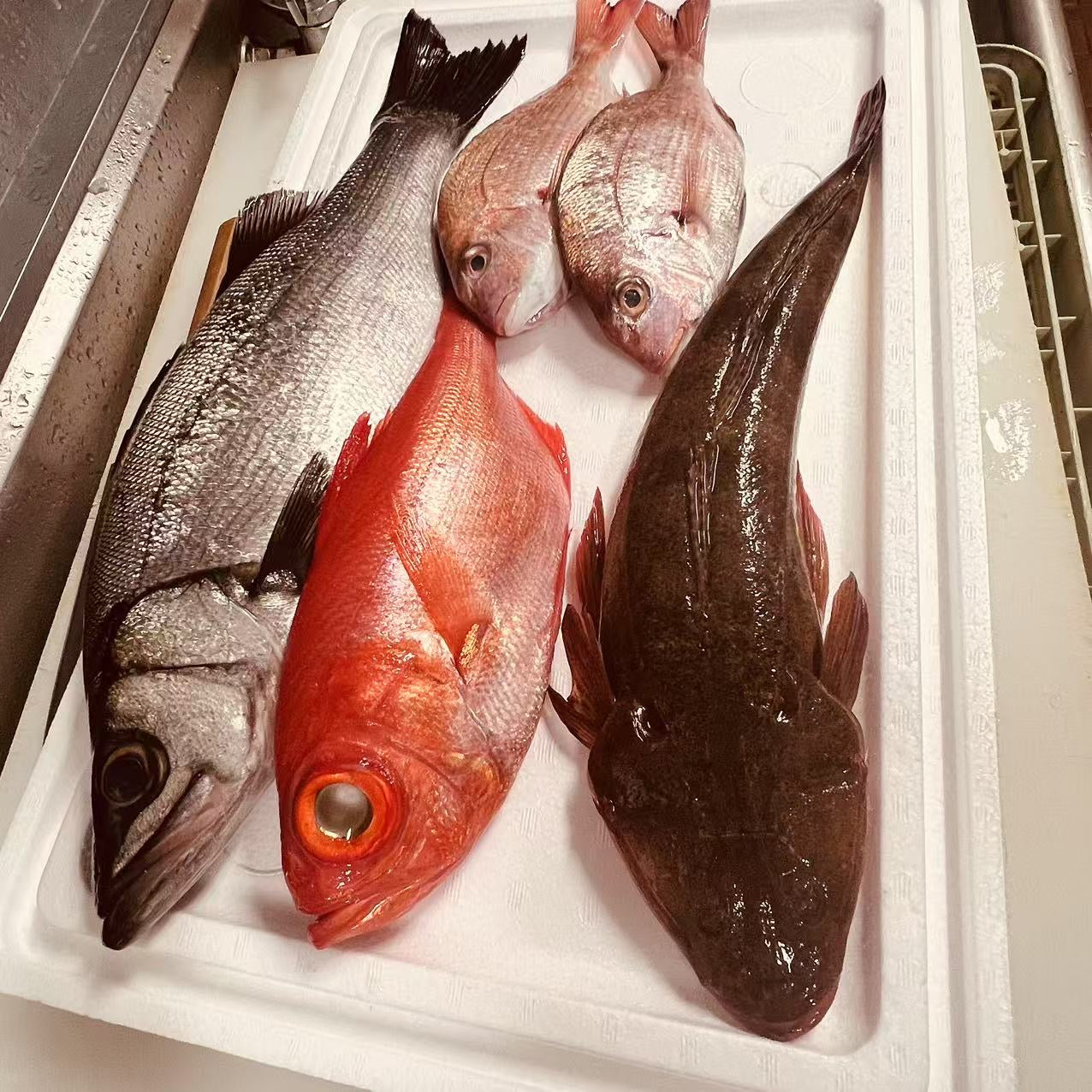 Premium Fresh Import from Japan