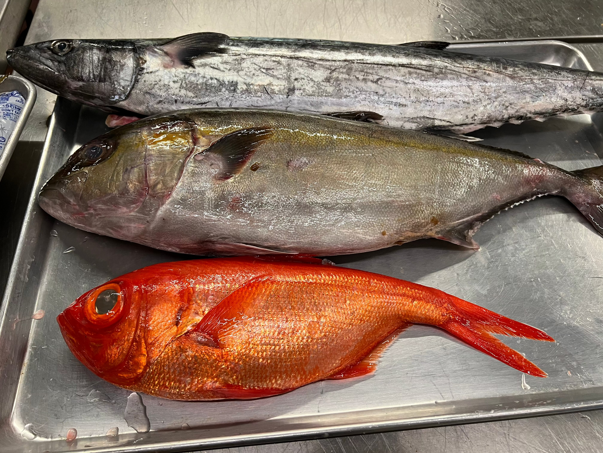 fresh Premium Imports for Private Omakase